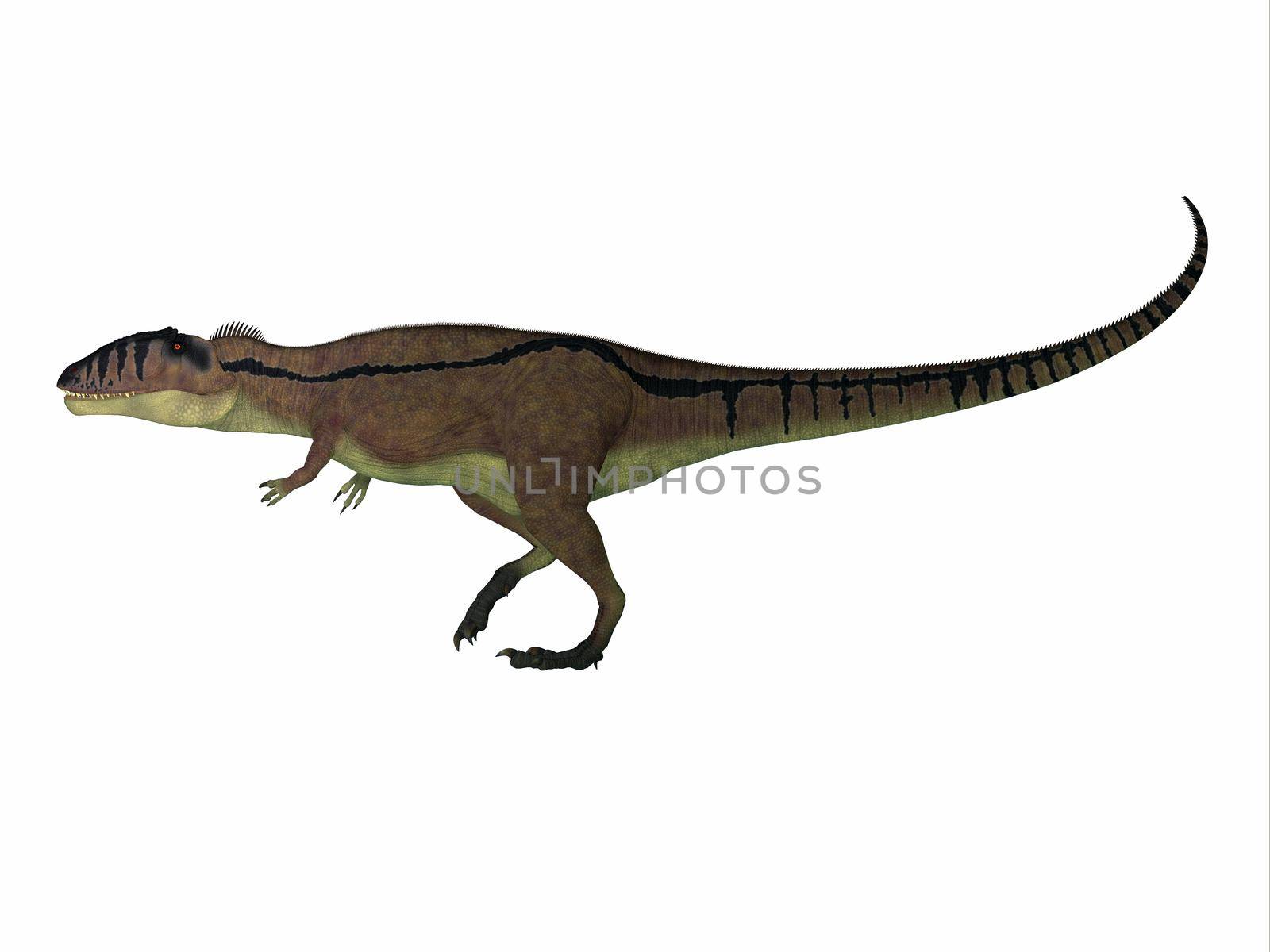 Carcharodontosaurus Cretaceous Dinosaur by Catmando