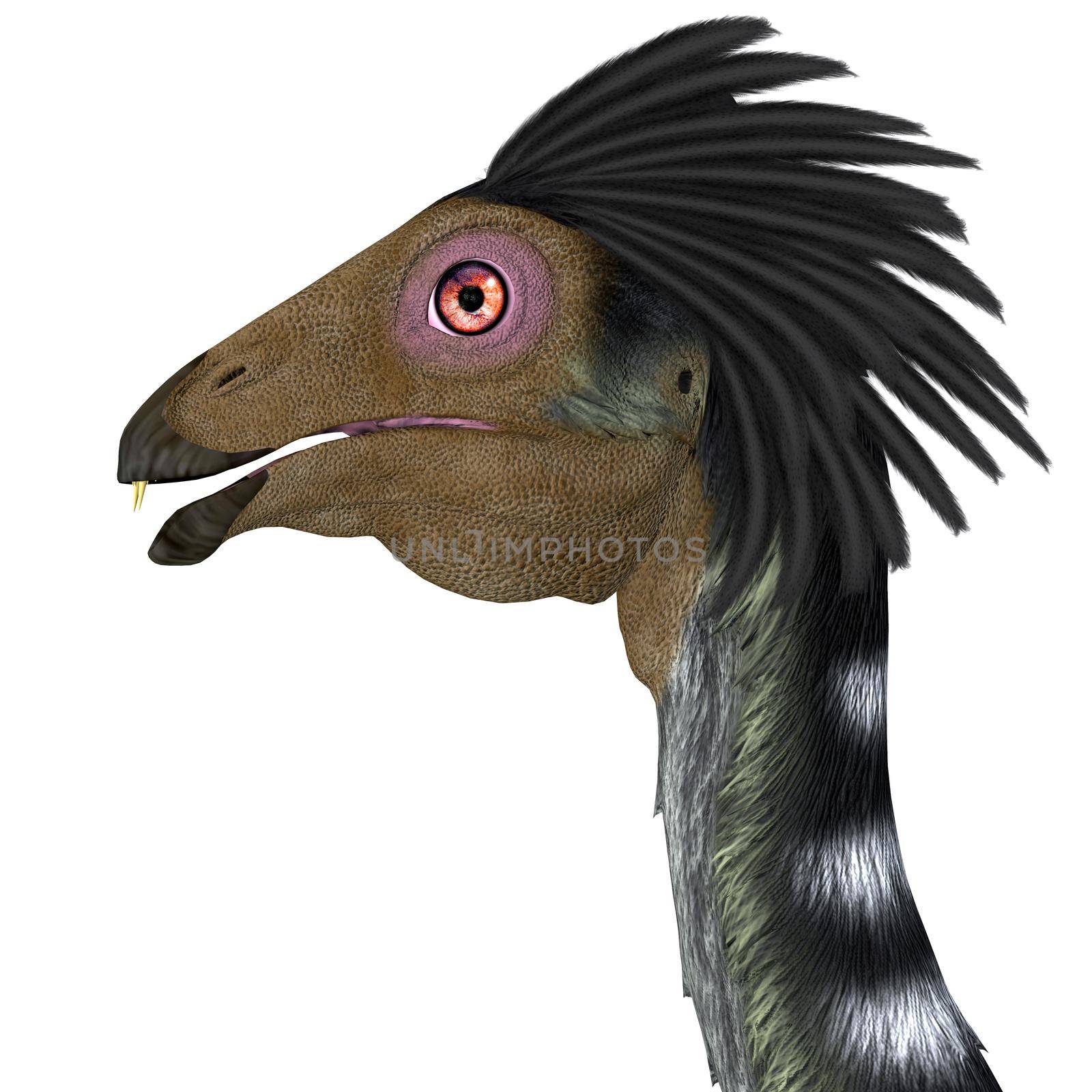 Caudipteryx Carnivorous Oviraptor by Catmando