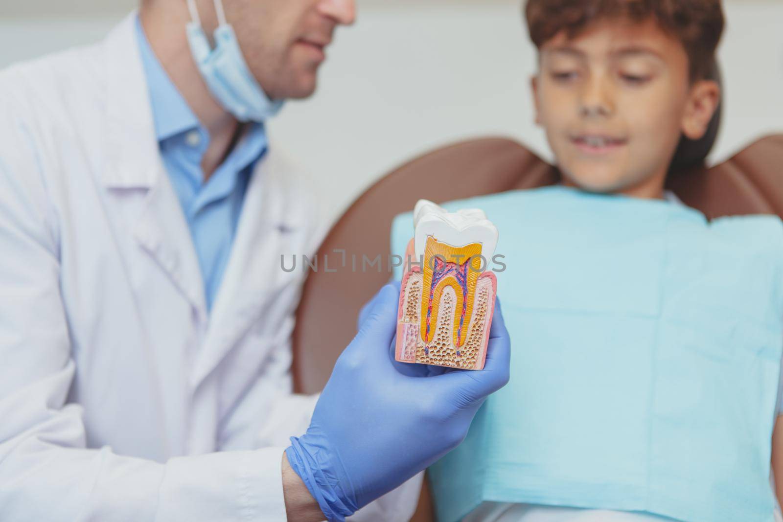 Cropped shot of a professional dentist explaining dental care to a young boy, showing him tooth model. Dentist education little patient about oral healthcare, copy space. Selective focus on a tooth model