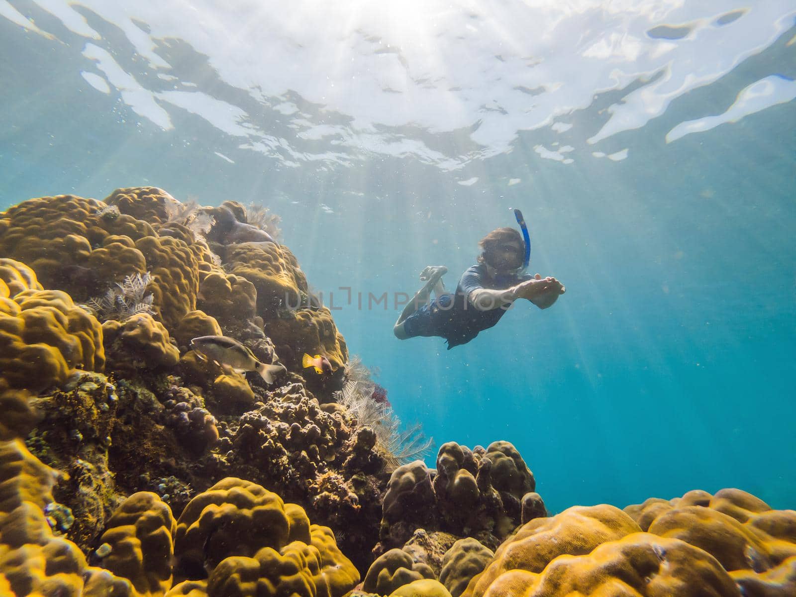 Happy man in snorkeling mask dive underwater with tropical fishes in coral reef sea pool. Travel lifestyle, water sport outdoor adventure, swimming lessons on summer beach holiday. Aerial view from the drone by galitskaya