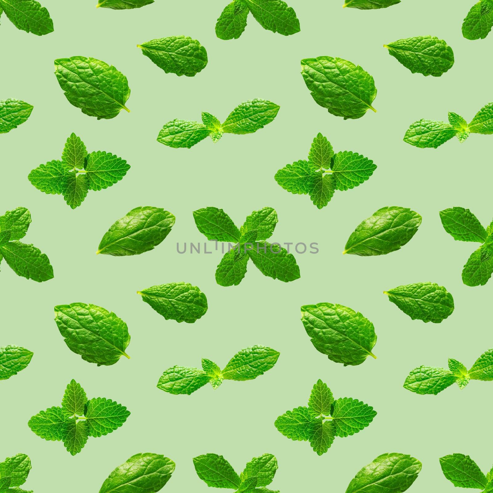 Seamless pattern of fresh mint leaves on green background by PhotoTime