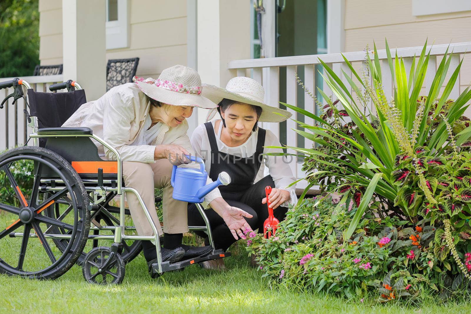 Elderly woman gardening in backyard with daughter by toa55