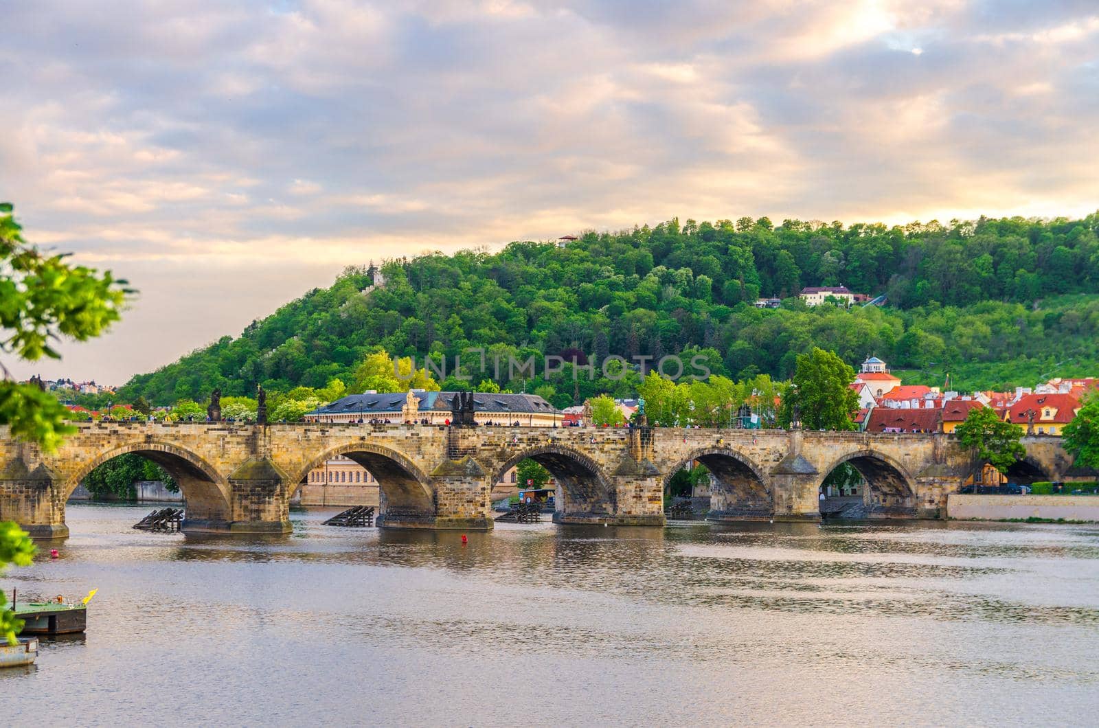 Charles Bridge Karluv Most with alley of dramatic baroque statues over Vltava river in Old Town of Prague historical center, garden on slope of Petrin Hill background, Czech Republic, Bohemia, Europe