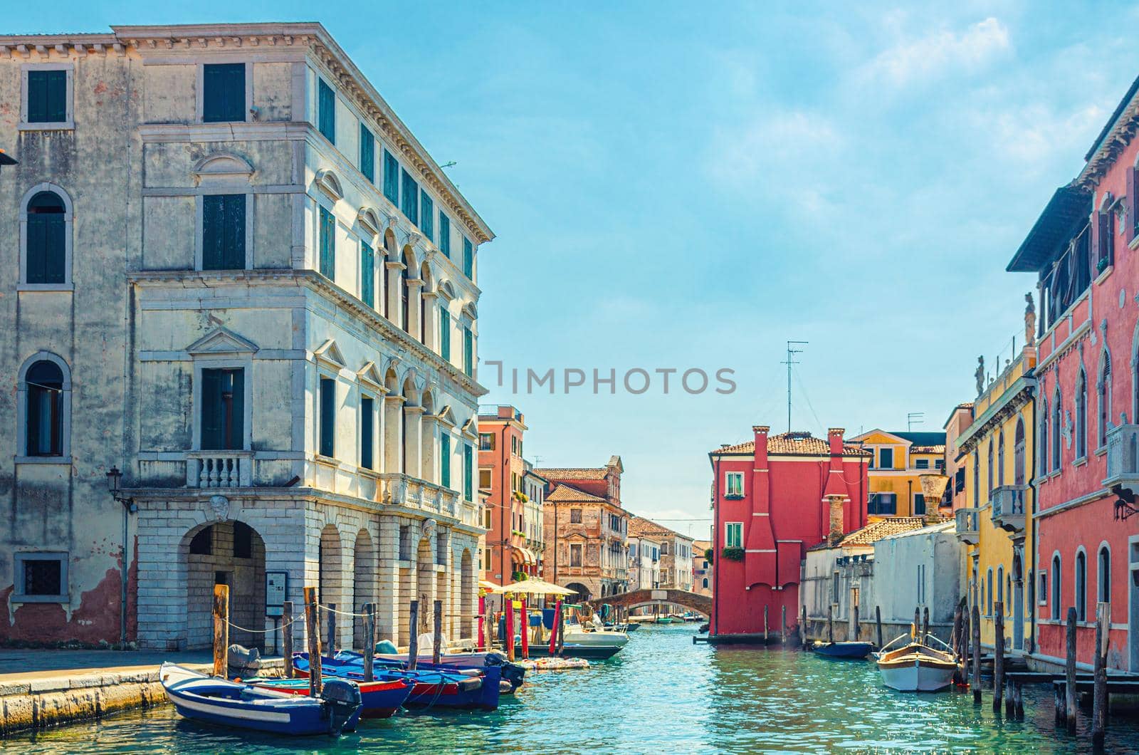 Museum of Adriatic Zoology Giuseppe Olivi near Vena narrow water canal in Chioggia historical centre, multicolored boats moored near pier, blue sky in summer day, Veneto Region, Northern Italy