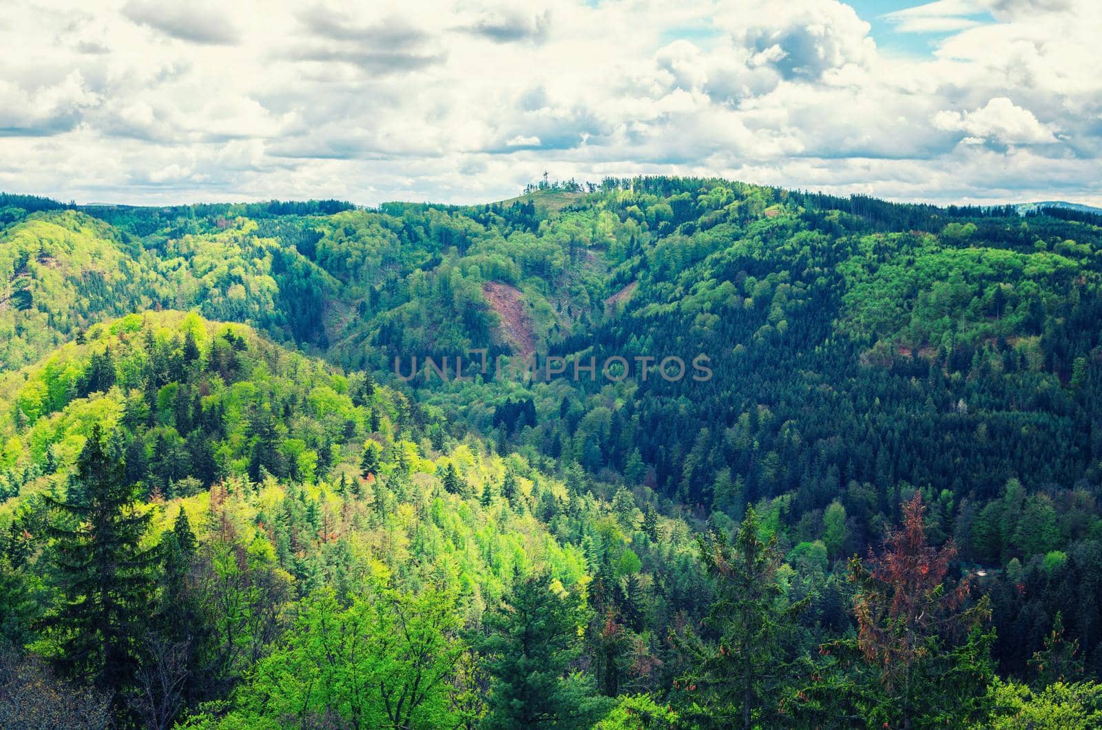 Slavkov Forest aerial panoramic view with hills and green trees near Carlsbad town, Karlovy Vary district, West Bohemia, Czech Republic