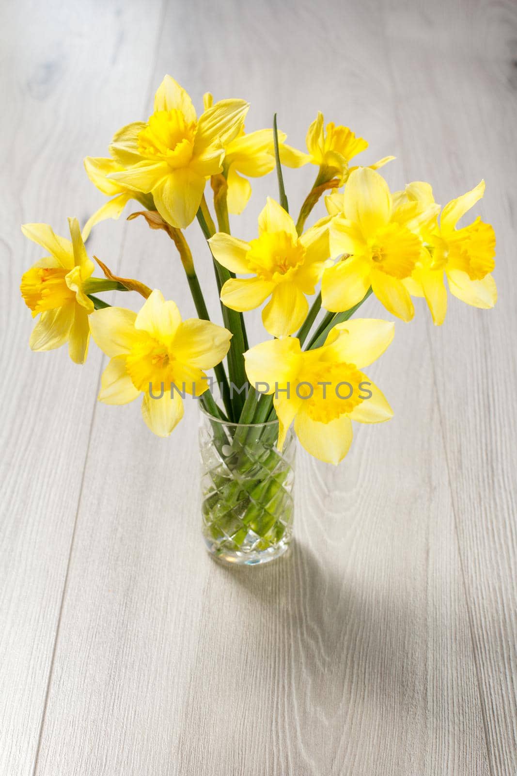 Bouquet of yellow daffodils in glass vase on grey wooden desk