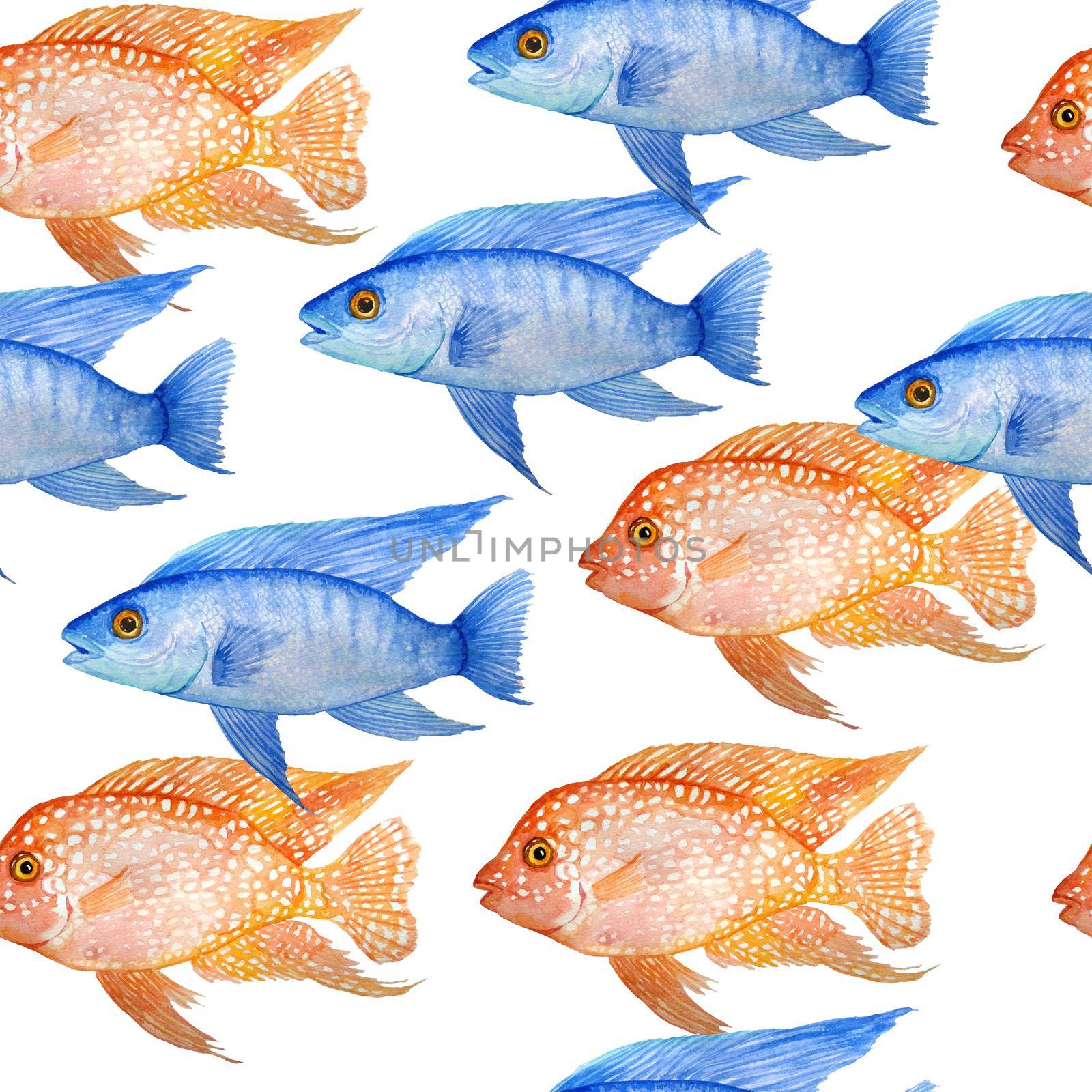 Watercolor hand drawn seamless pattern illustration of red texas and electric blue cichlid fresh water fish. Acquarium fish tank animal pet. Tropical aquascaping underwater hybrid cichlid. Exotic environment cute design. by Lagmar
