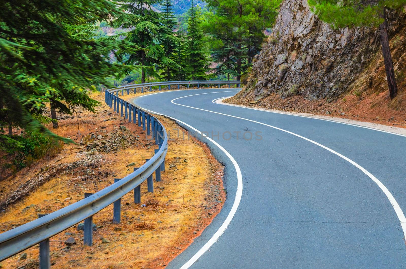 Asphalt serpentine road in Troodos mountain range with roadside fence and trees, Cyprus