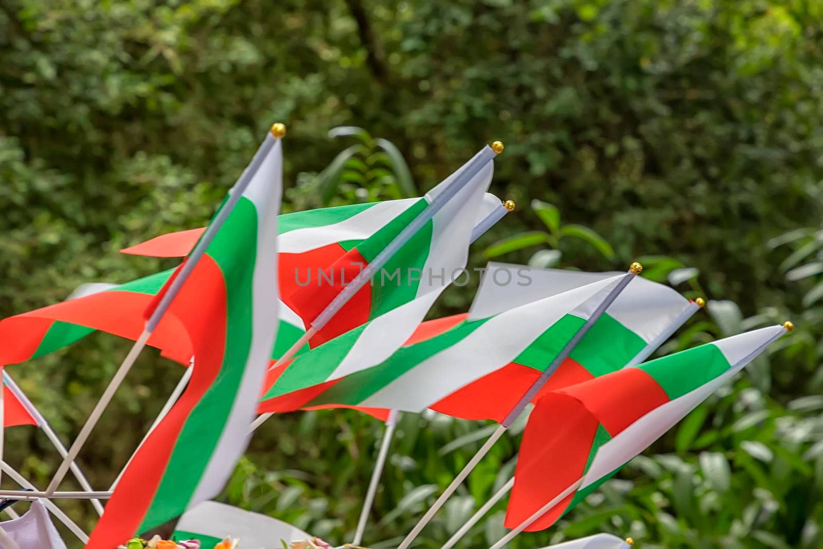 day view of many Bulgarian flags standing outdoor. Close