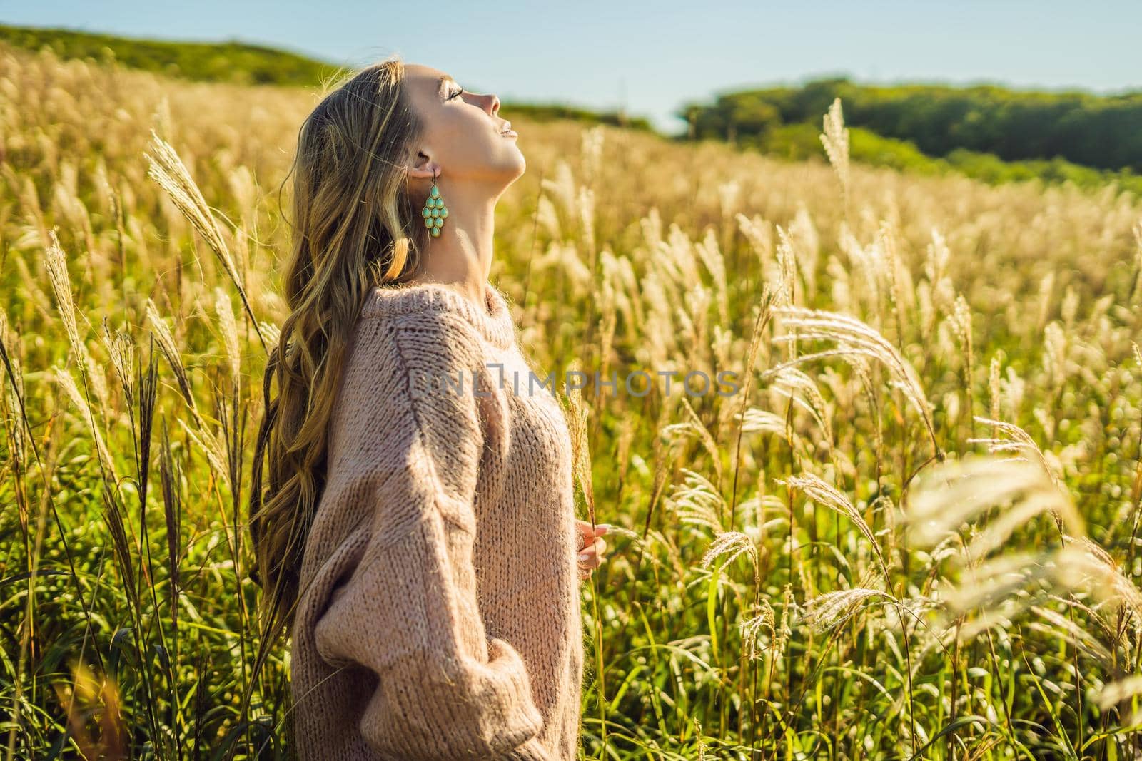 Young beautiful woman in autumn landscape with dry flowers, wheat spikes. Fashion autumn, winter. Sunny autumn, Cozy autumn sweater. fashion photo.