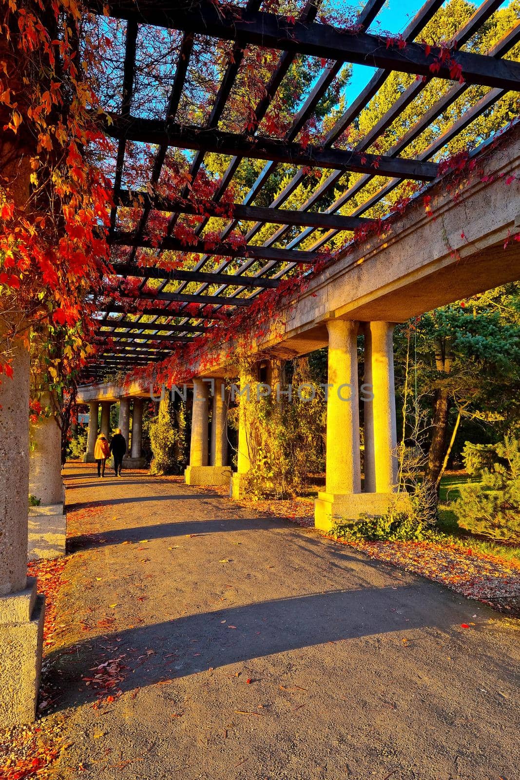A picturesque view of the concrete structure in the park in autumn