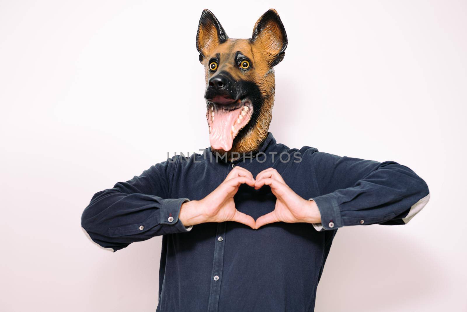person disguised with a dog mask making a heart shape with his hands as a sign of affection on white background, concept of love for pets