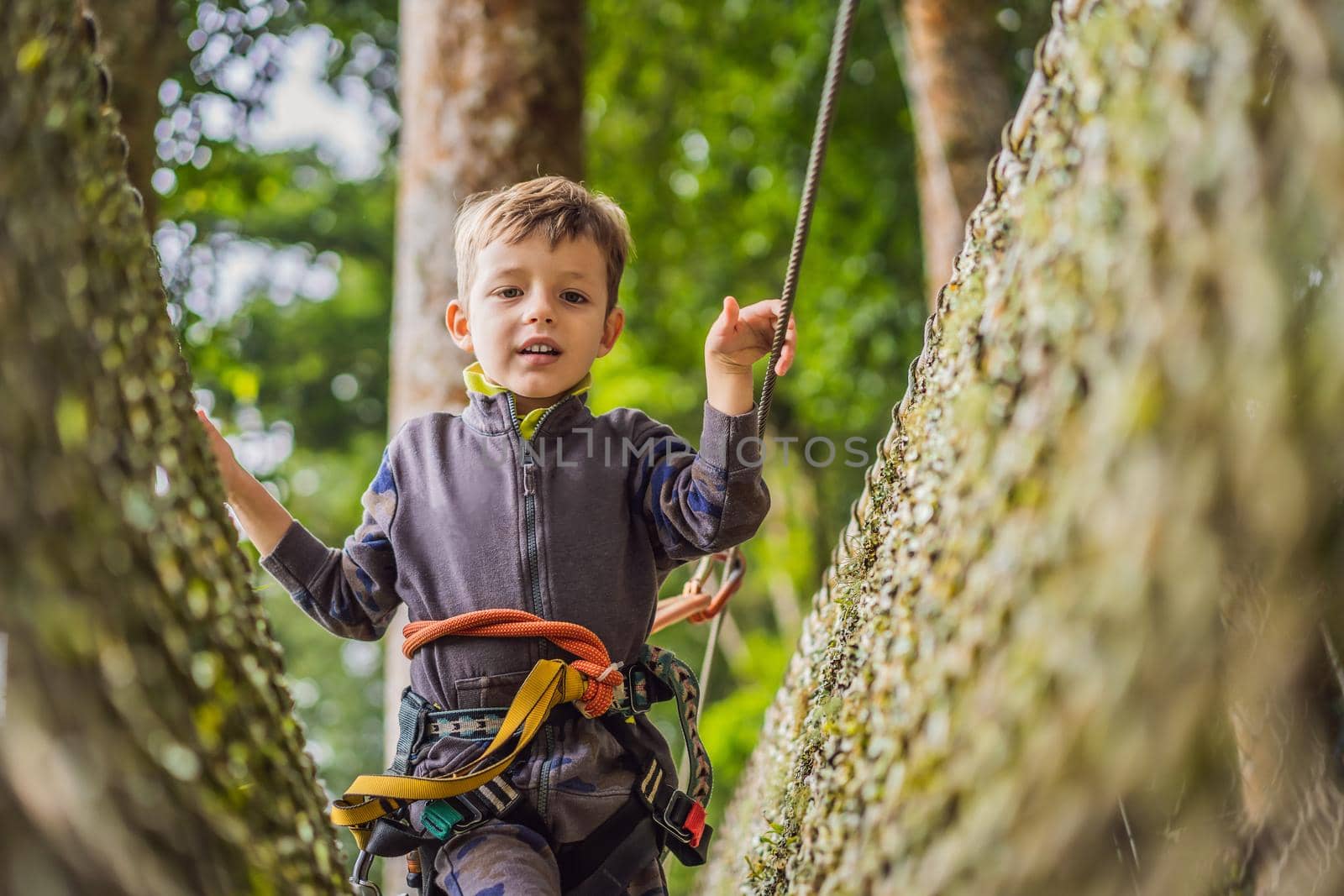 Little boy in a rope park. Active physical recreation of the child in the fresh air in the park. Training for children.