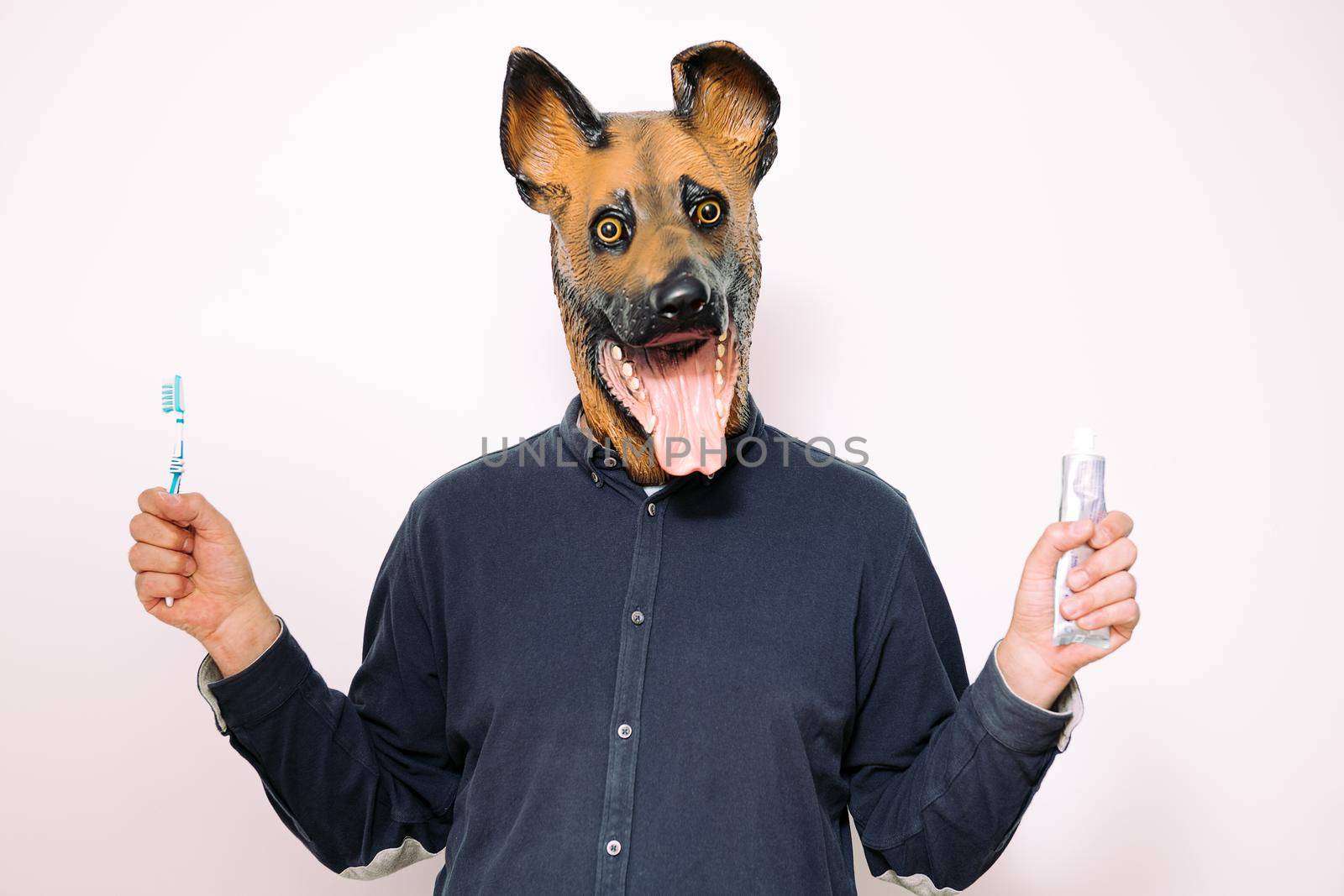 person with a dog mask showing toothbrush and toothpaste on white background, concept of dental care and hygiene for pets