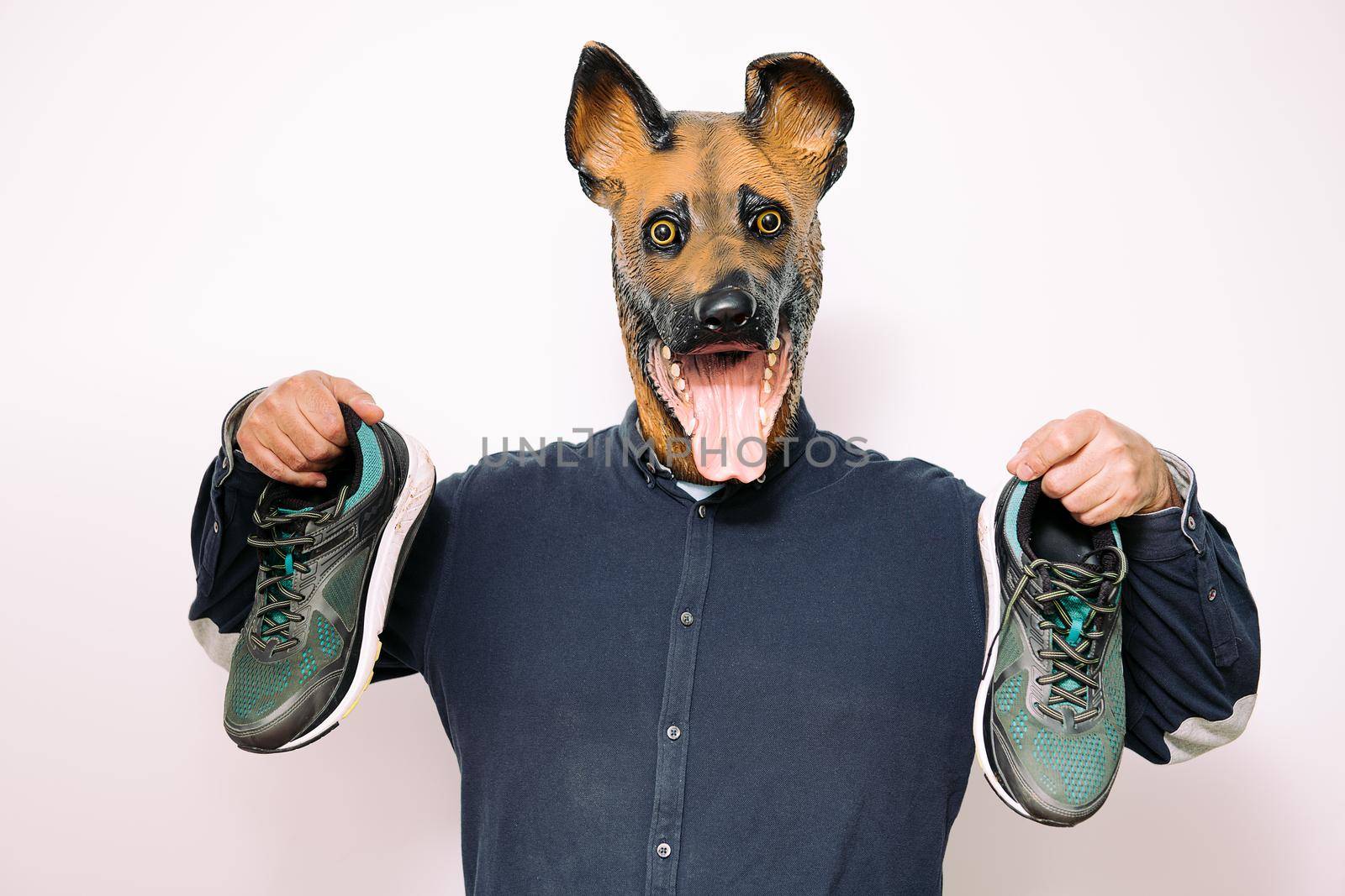 person with a dog mask shows a pair of running shoes on white background, concept of sport and active lifestyle with pets