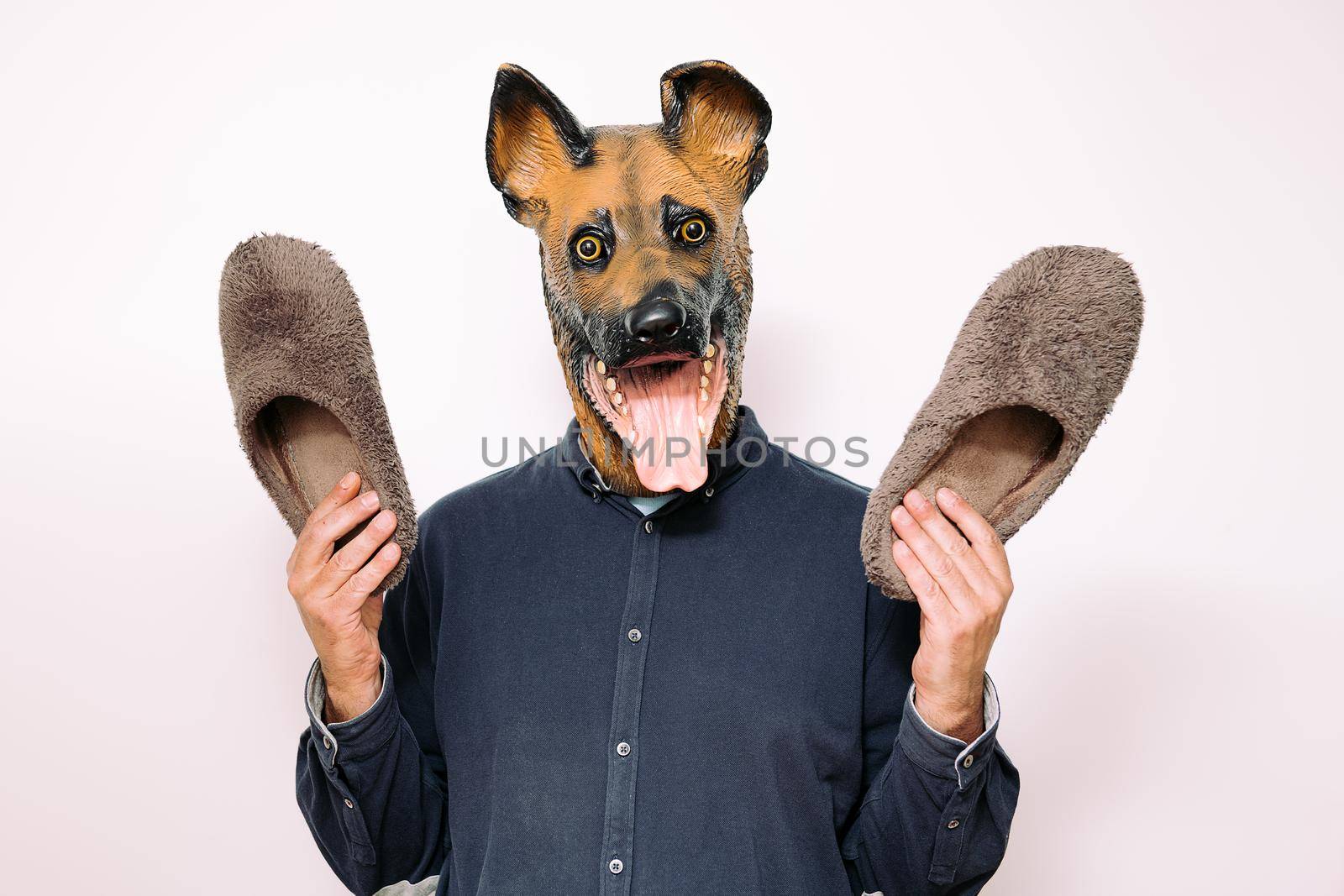 person with a dog mask shows a pair of slippers on white background, concept of relaxation and home lifestyle with pets