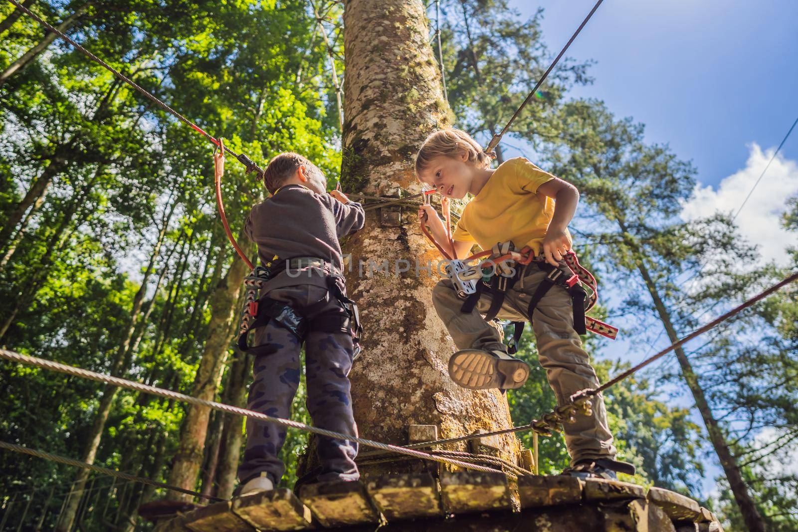 Two little boys in a rope park. Active physical recreation of the child in the fresh air in the park. Training for children.