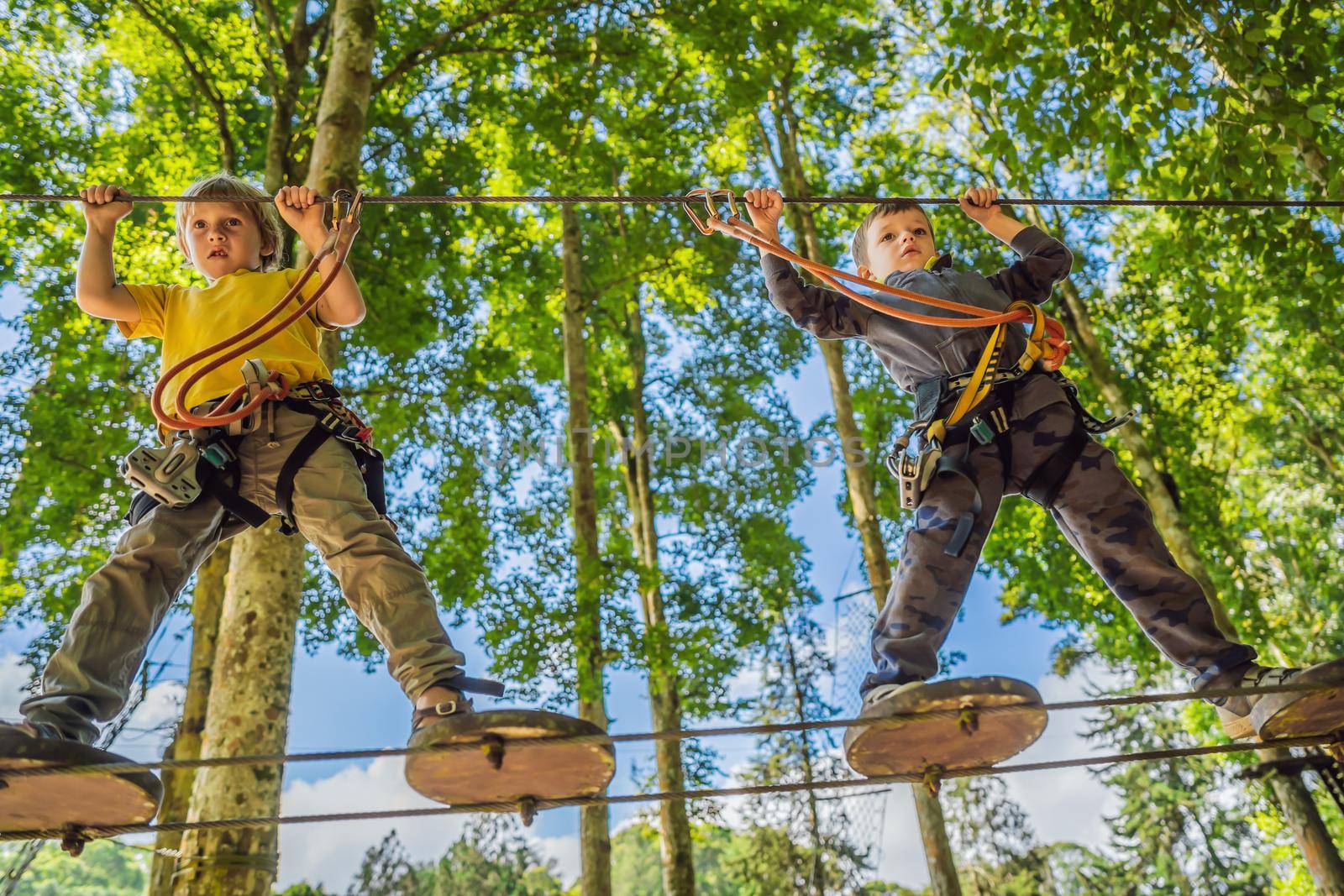 Two little boys in a rope park. Active physical recreation of the child in the fresh air in the park. Training for children.