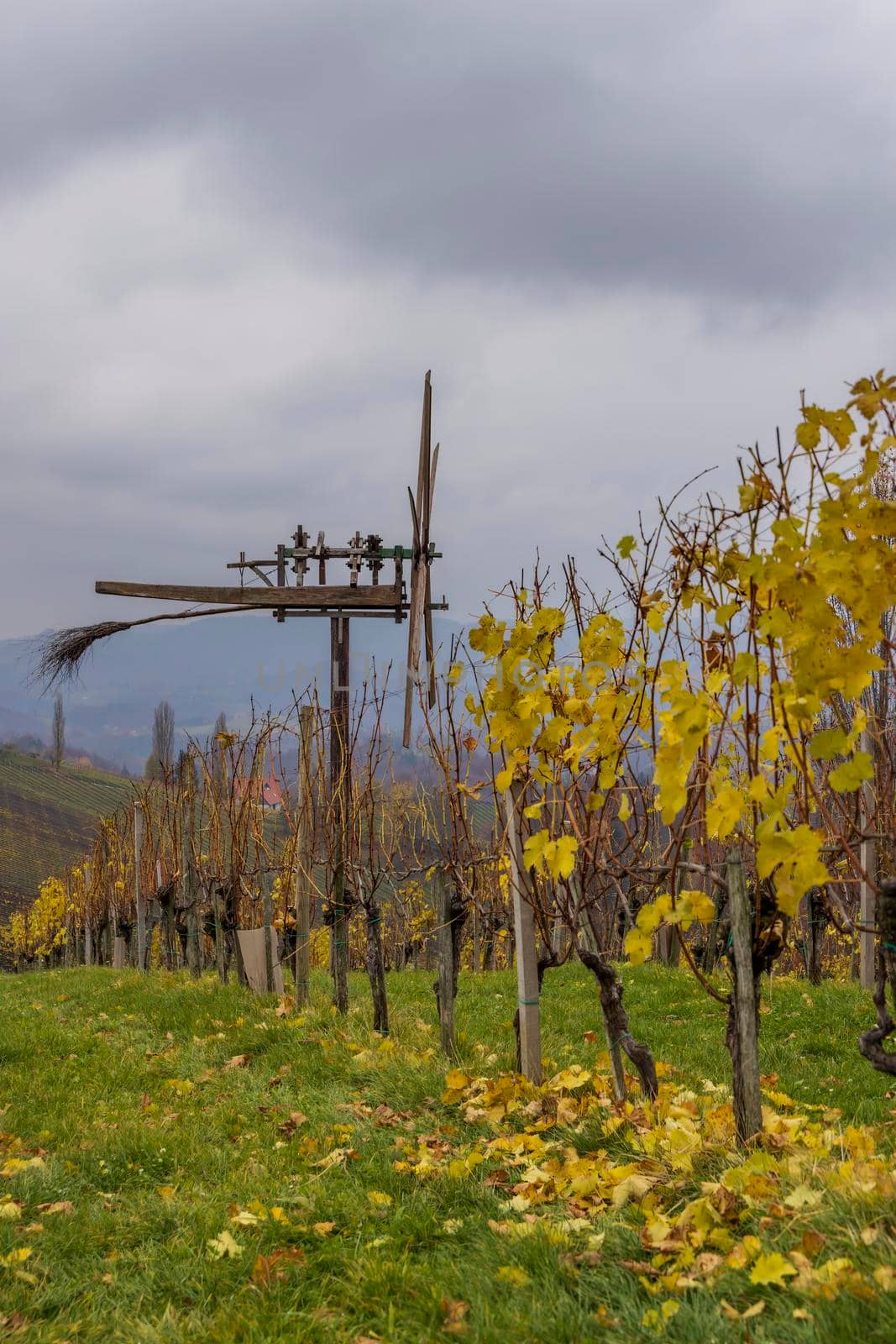 World's largest Klapotetz, near village Kitzeck im Sausal, Styria, Austria by phbcz