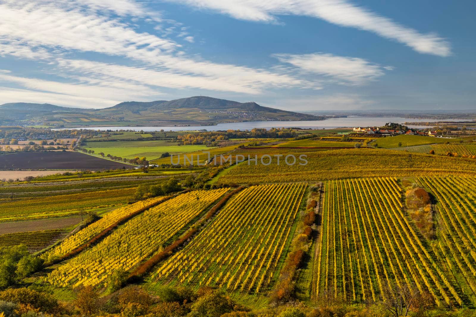 Vineyards under Palava, Southern Moravia, Czech Republic