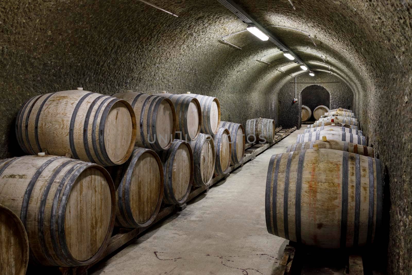 Wine cellars with barrels, traditional wine called Bikaver near Eger, Hungary by phbcz