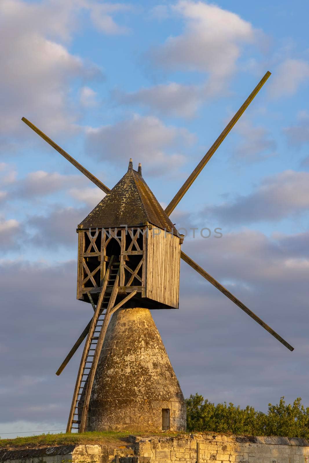 Windmill of La Tranchee and vineyard near Montsoreau, Pays de la Loire, France by phbcz