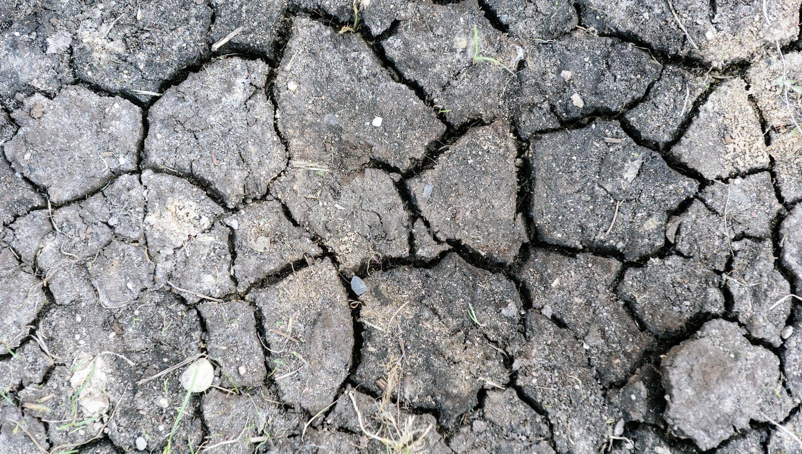 cracked black earth in the dry season