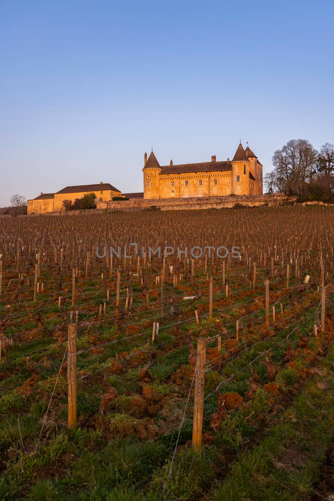 Chateau de Rully castle, Saone-et-Loire departement, Burgundy, France by phbcz