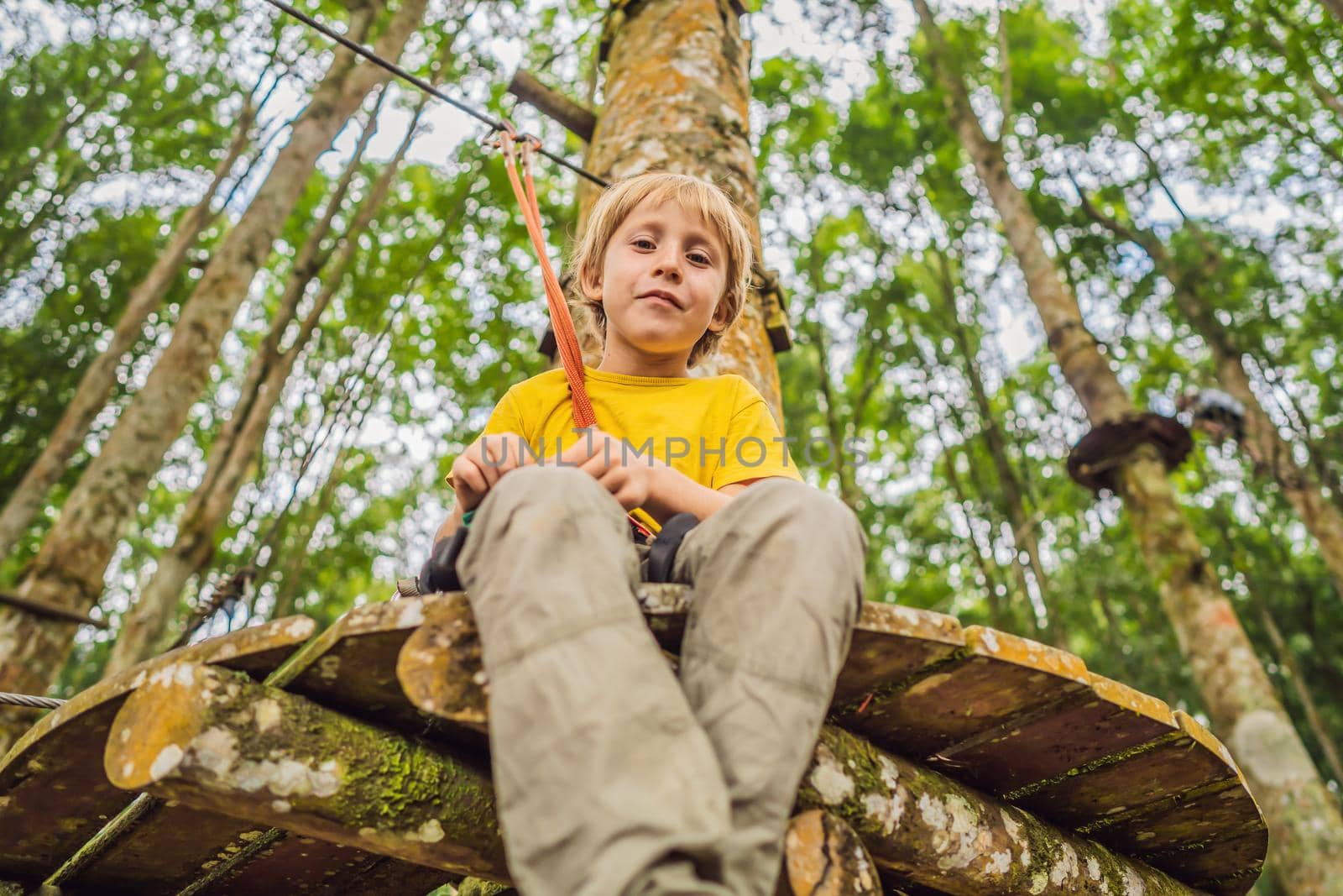 Little boy in a rope park. Active physical recreation of the child in the fresh air in the park. Training for children.