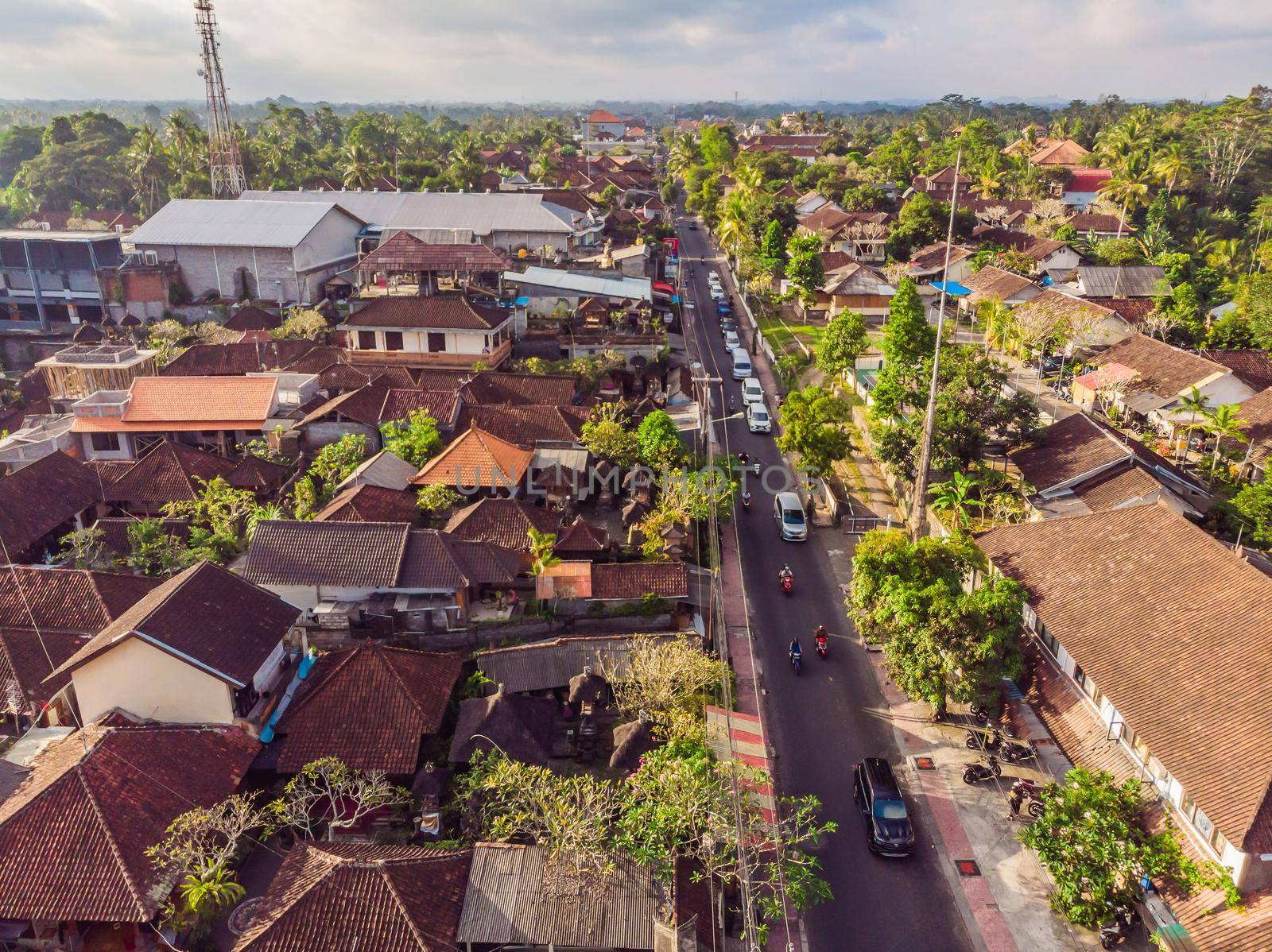 Photo from drone, Ubud. Aerial Landscapes in Ubud, Bali Indonesia