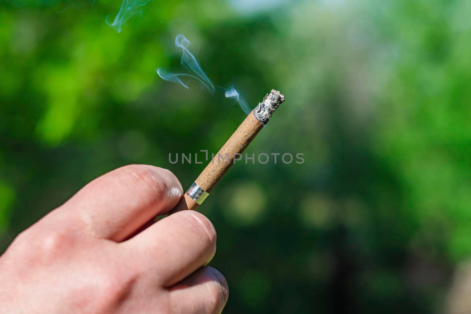 An expensive premium cigarette in the hands of a smoker close-up against a background of greenery