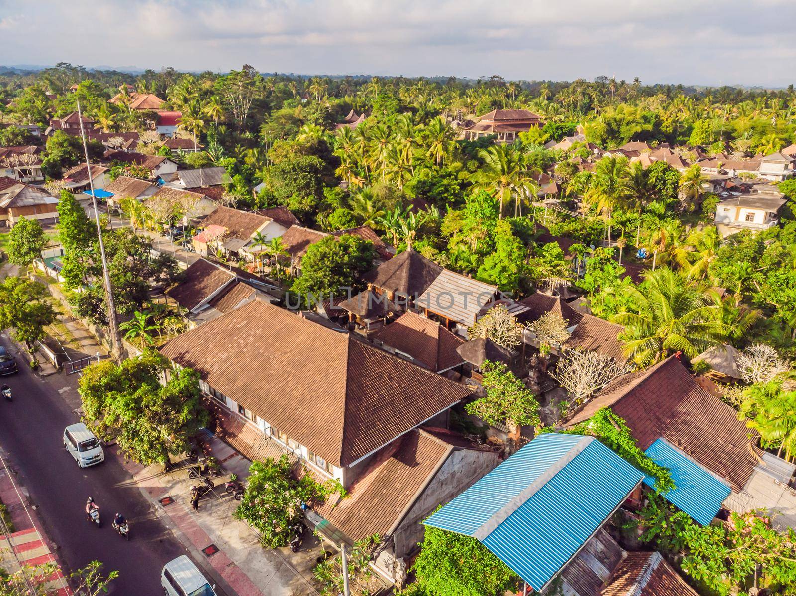 Photo from drone, Ubud. Aerial Landscapes in Ubud, Bali Indonesia