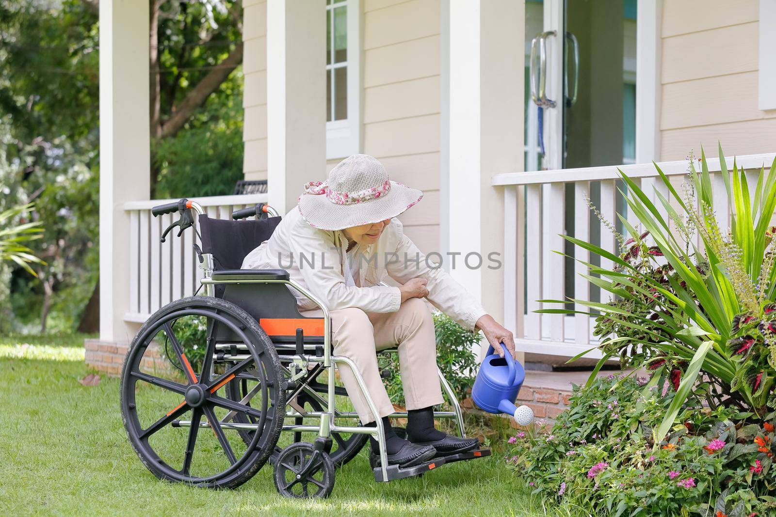 Elderly woman gardening in backyard