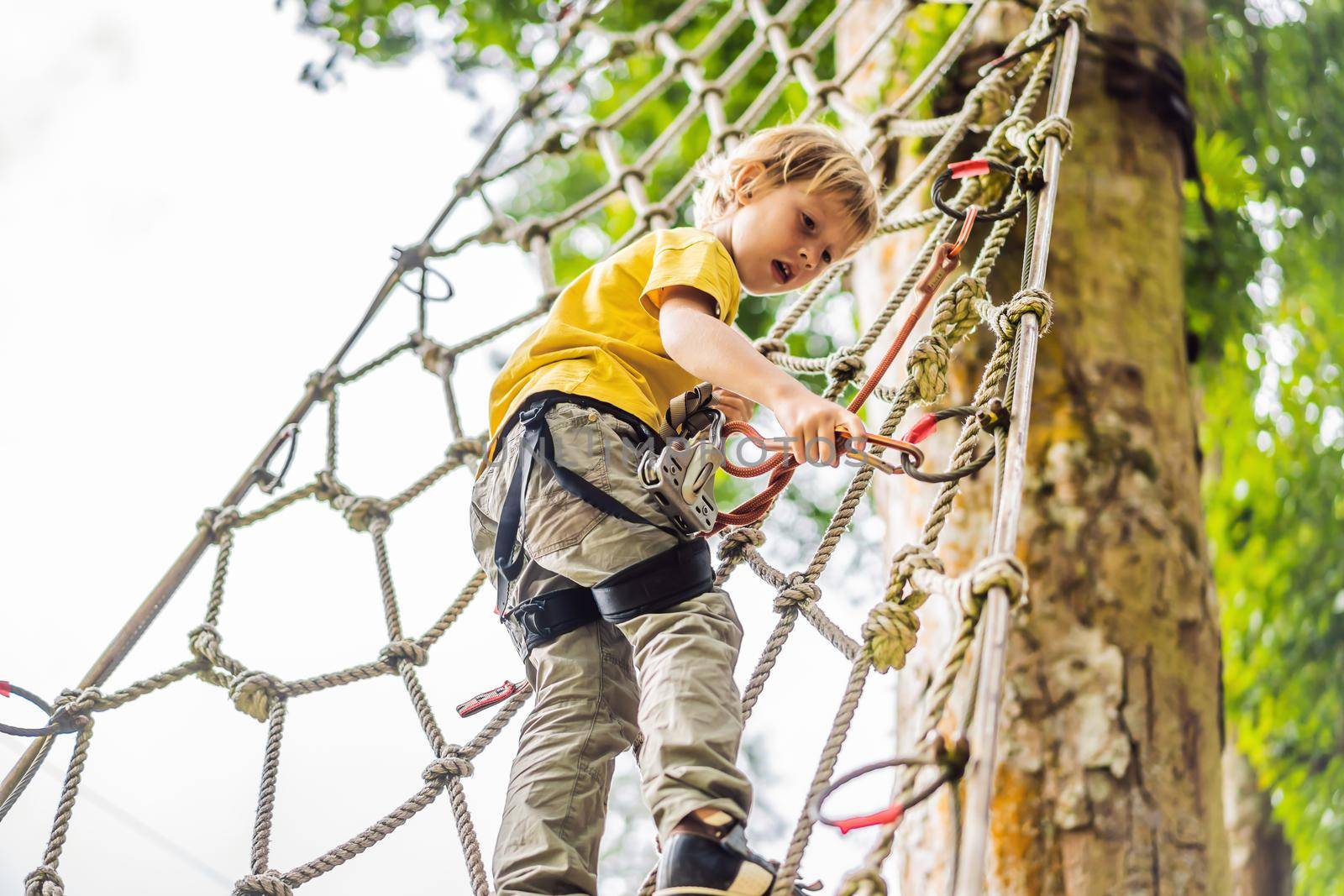 Little boy in a rope park. Active physical recreation of the child in the fresh air in the park. Training for children.