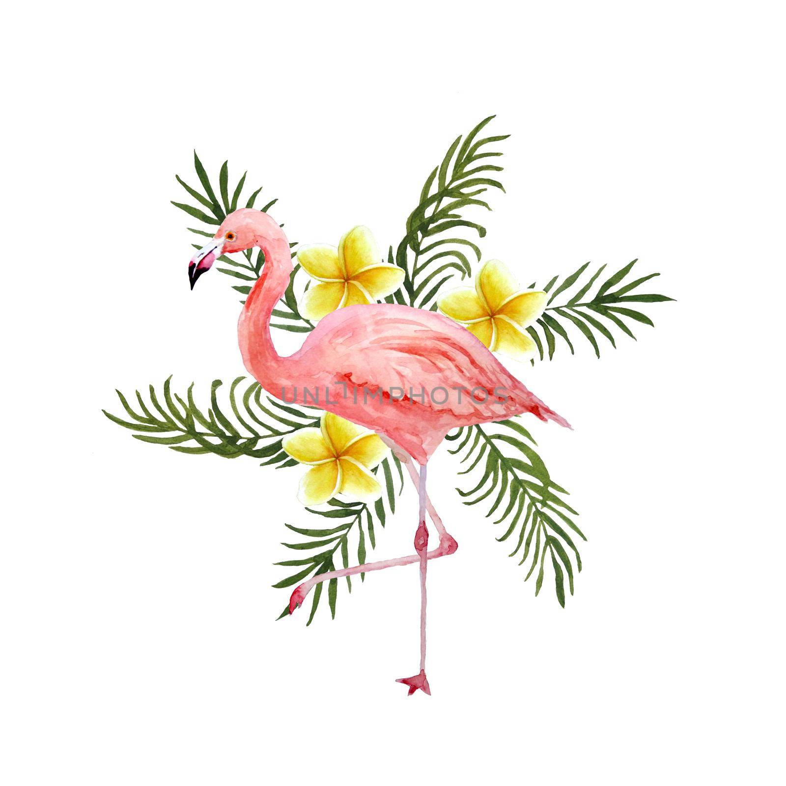 Watercolor hand drawn illustration with pink flamingo bird and tropical green palm leaves plumeria frangipani flowers on background. Summer vacation holiday concept. Print for card invitation t-shirt decor. by Lagmar