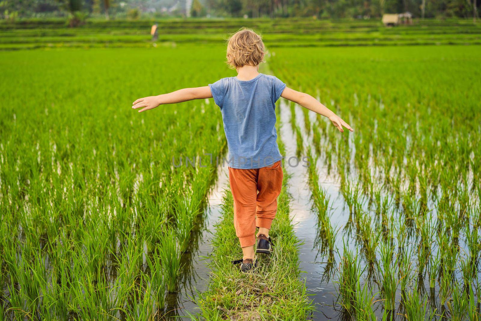 Tourist boy walks in a rice field. Traveling with children concept. Kids friendly place.