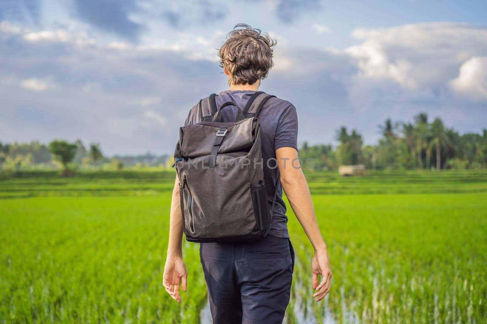 Male tourist with a backpack goes on the rice field.