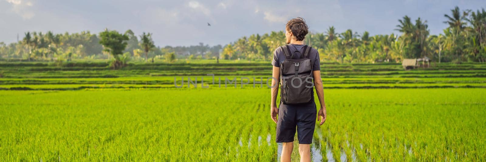 Male tourist with a backpack goes on the rice field. BANNER, LONG FORMAT