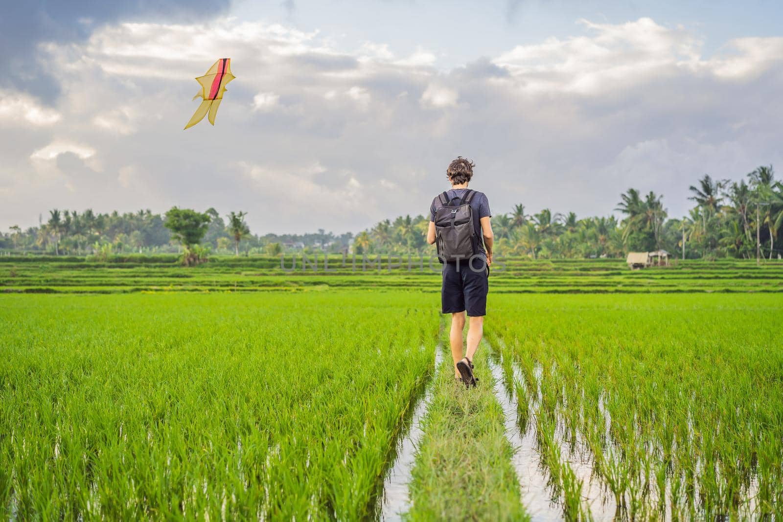 Man launch a kite in a rice field in Ubud, Bali Island, Indonesia.