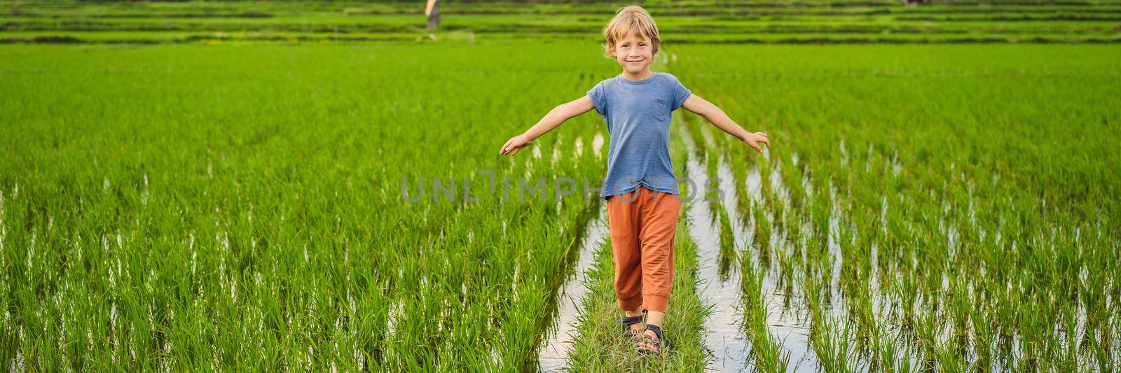 Tourist boy walks in a rice field. Traveling with children concept. Kids friendly place BANNER, LONG FORMAT by galitskaya