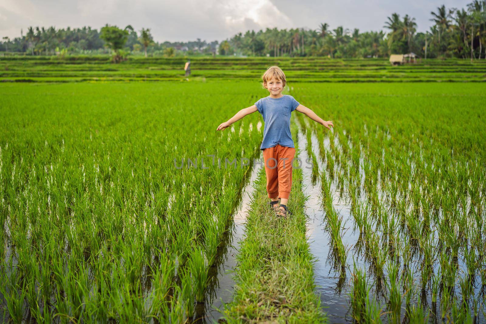Tourist boy walks in a rice field. Traveling with children concept. Kids friendly place.