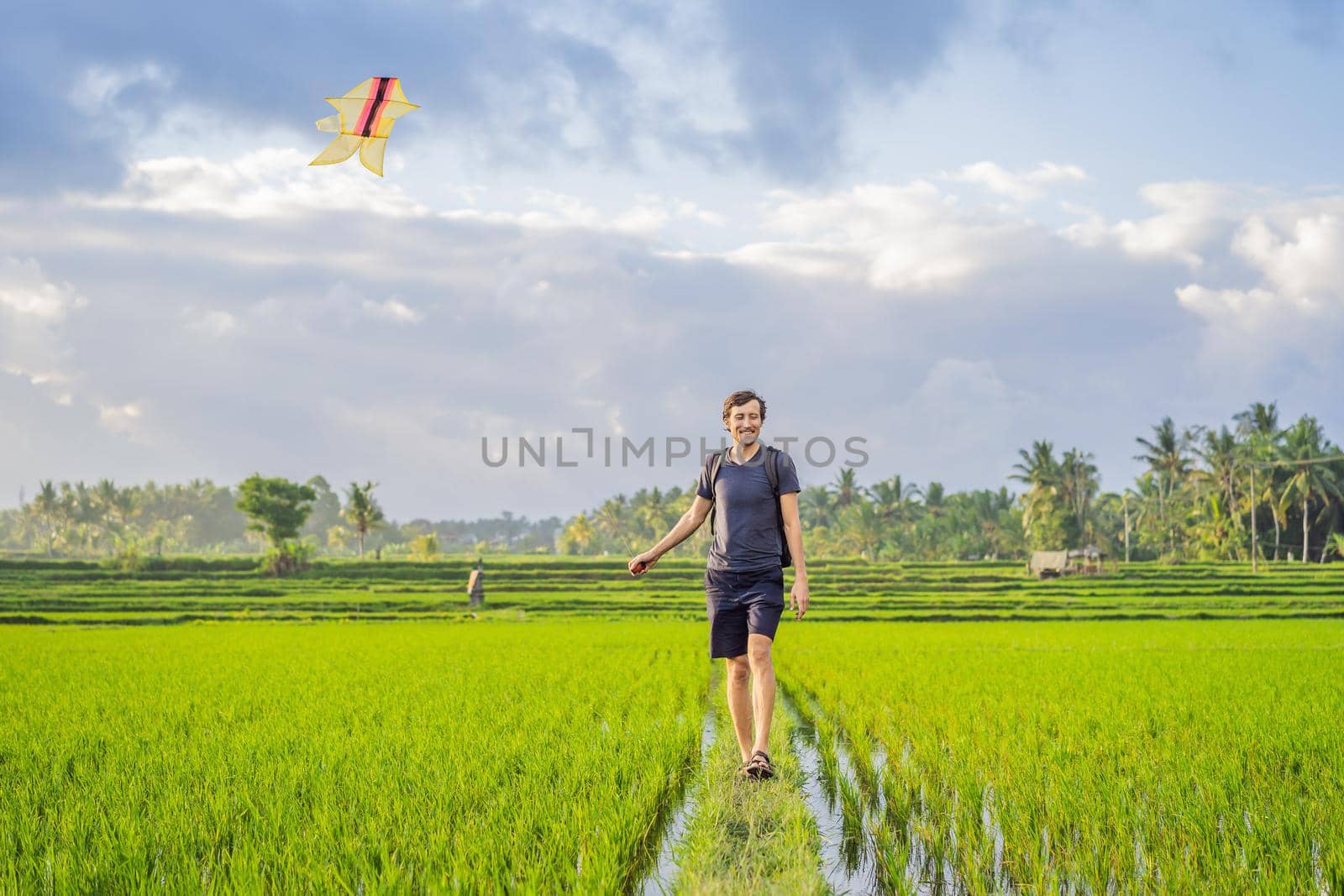Man launch a kite in a rice field in Ubud, Bali Island, Indonesia by galitskaya