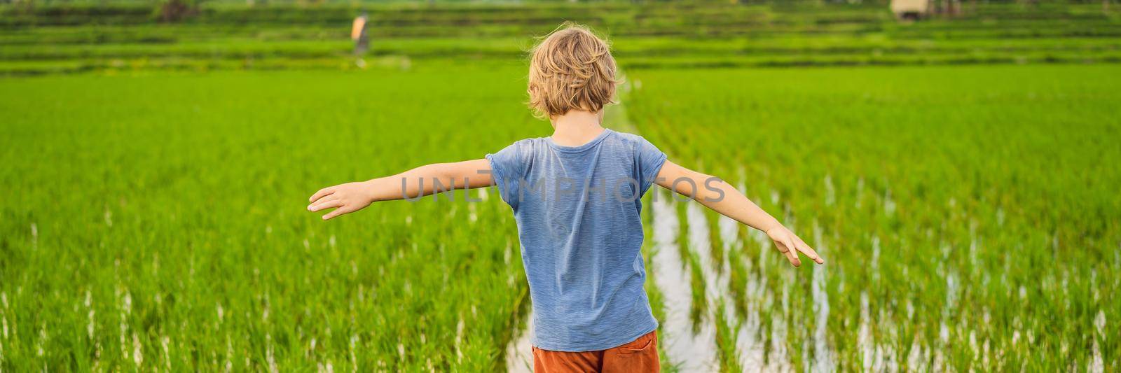 Tourist boy walks in a rice field. Traveling with children concept. Kids friendly place BANNER, LONG FORMAT by galitskaya