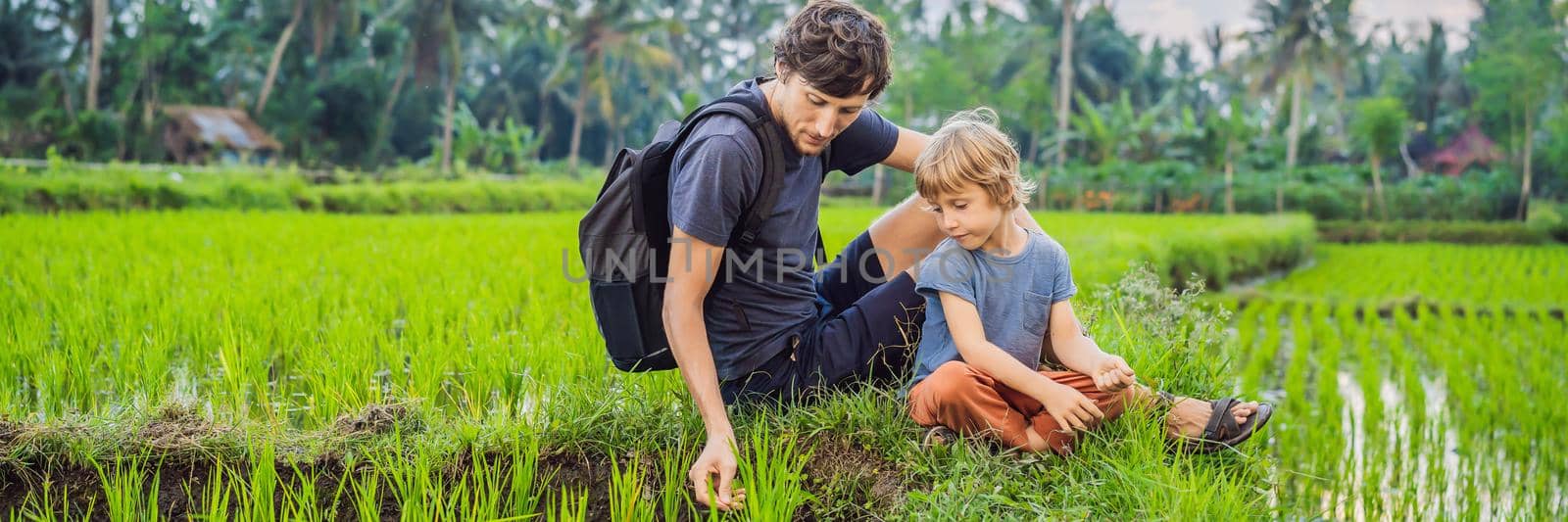 Education of children on nature. Dad and son are sitting in a rice field and watching nature BANNER, LONG FORMAT by galitskaya