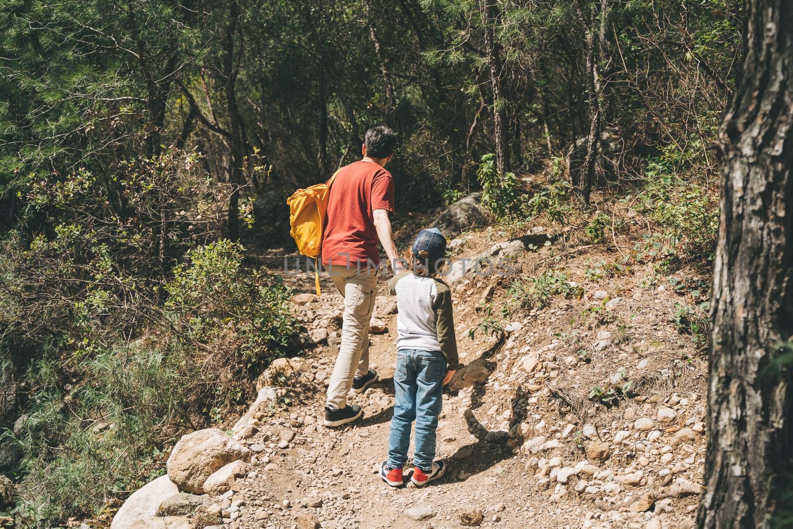 Rear view of tourists school boy and his dad walking a stone footpath in spring forest. Child kid and father wearing casual clothes hiking in summer greenwood leaf forest.