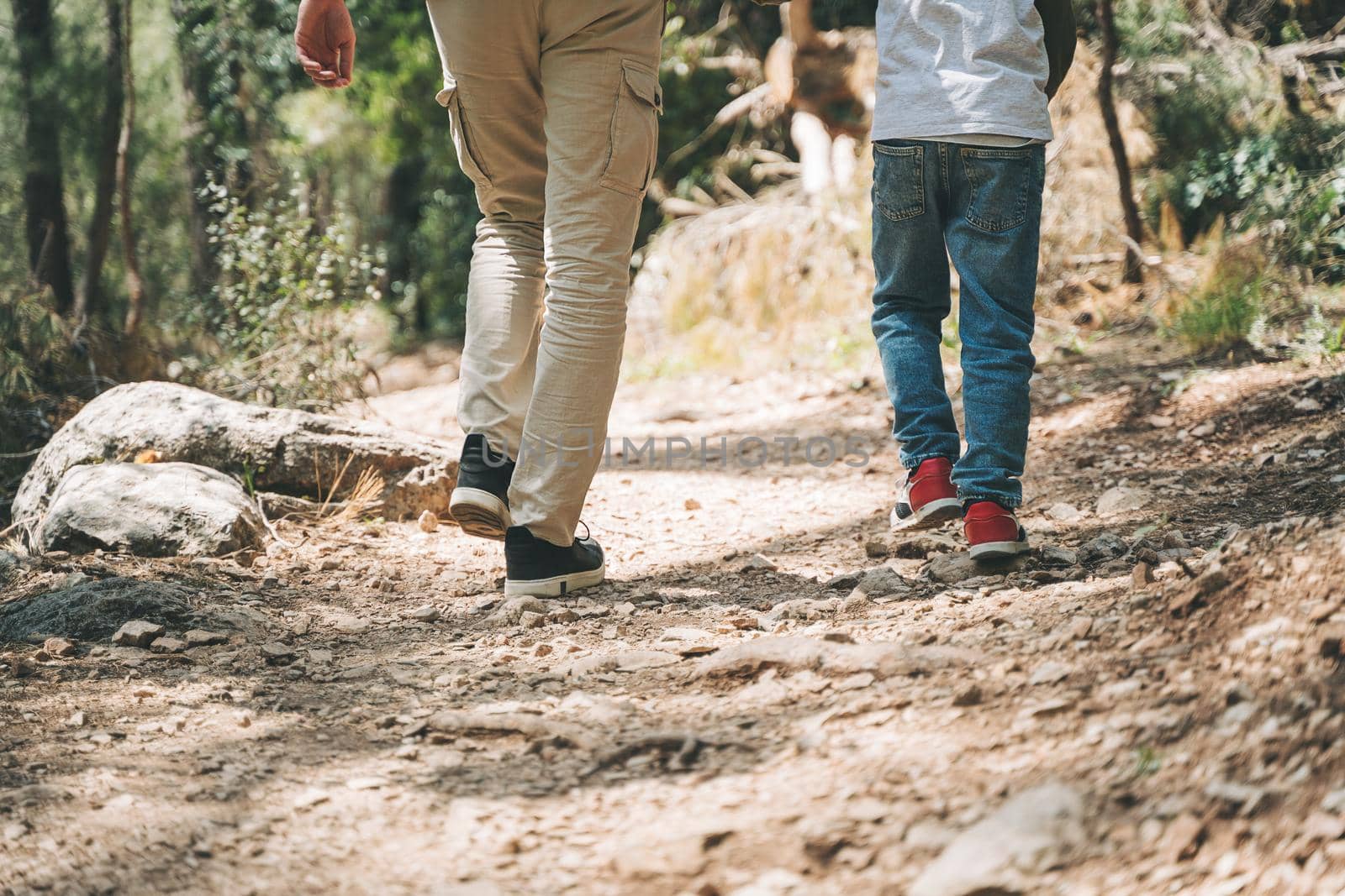 Close-up rear view of tourists school boy and his dad walking a stone footpath in spring forest. Child boy and father wearing casual clothes while hiking in summer greenwood forest.