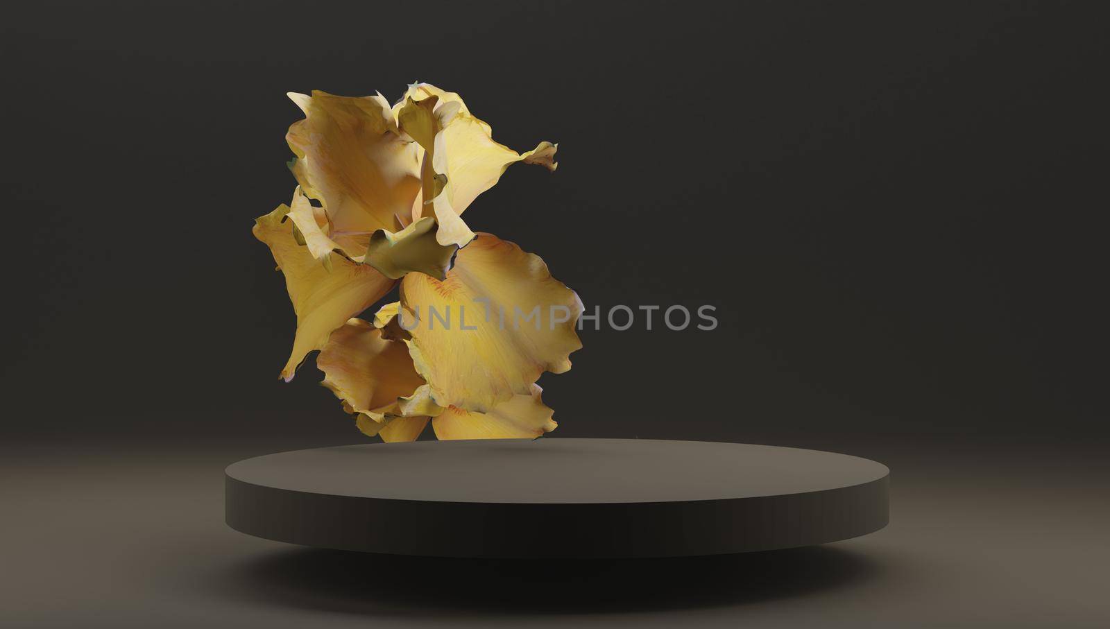 product display podium leaves. Valentine's Day celebration. 3D render. by jbruiz78