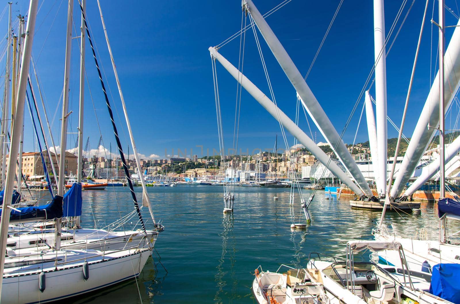 Port Porto Antico harbor with luxury white yachts and attractions, Bigo construction in historical centre of old european city Genoa Genova with blue sky in clear summer day, Liguria, Italy