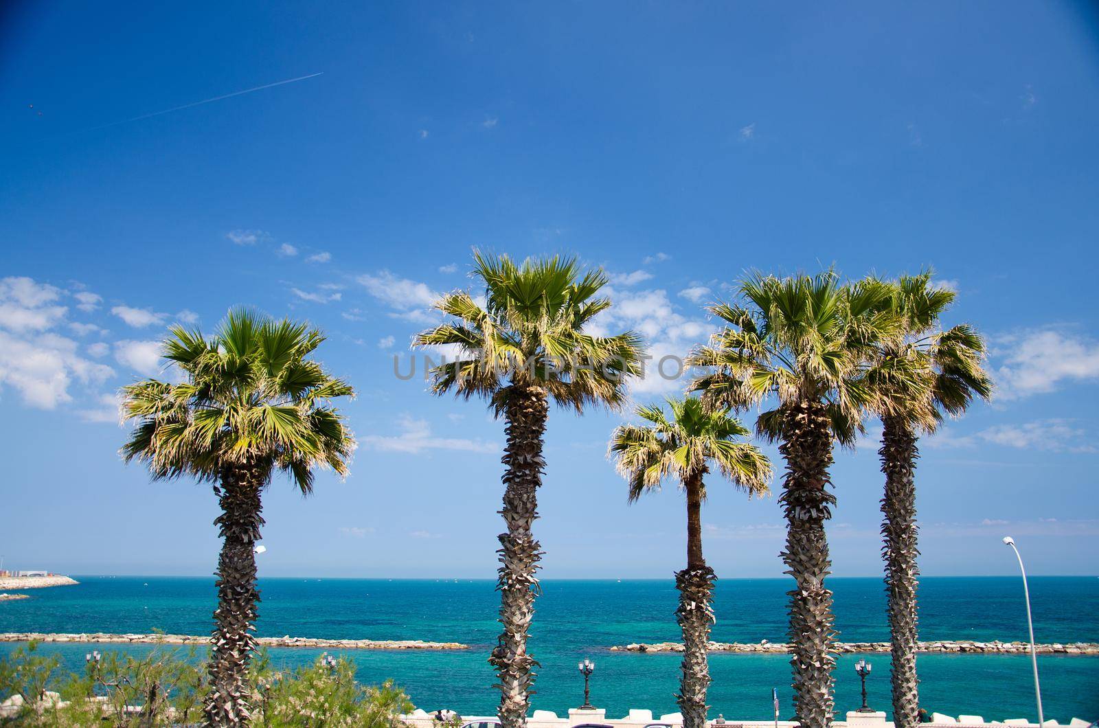 Embankment promenade Imperatore Augusto with palm trees and view of Adriatic sea in the city of Bari, Puglia Apulia region, Southern Italy