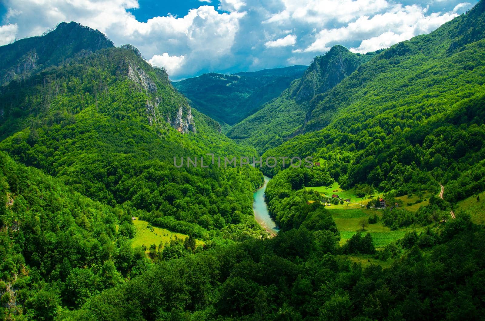 Mountain range and small village houses in green forest near Tara river gorge canyon, view from Durdevica Tara Bridge, Montenegro